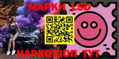 шишки Изобильный