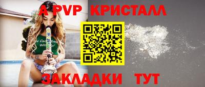 шишки Изобильный