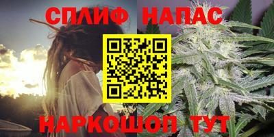 шишки Изобильный